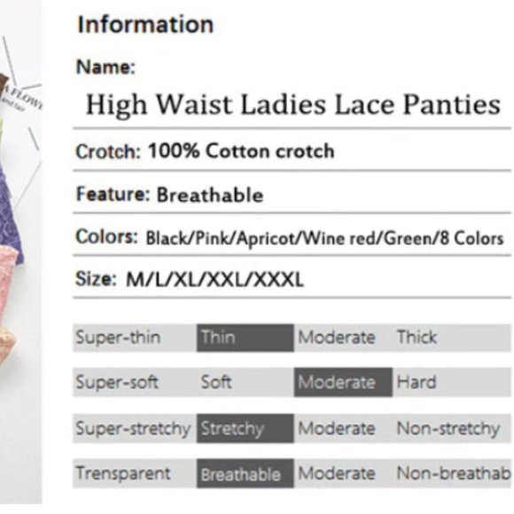 NEW High Waist Slender Lace Brief Panties - Picture 13 of 14